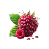 Fresh Raspberry