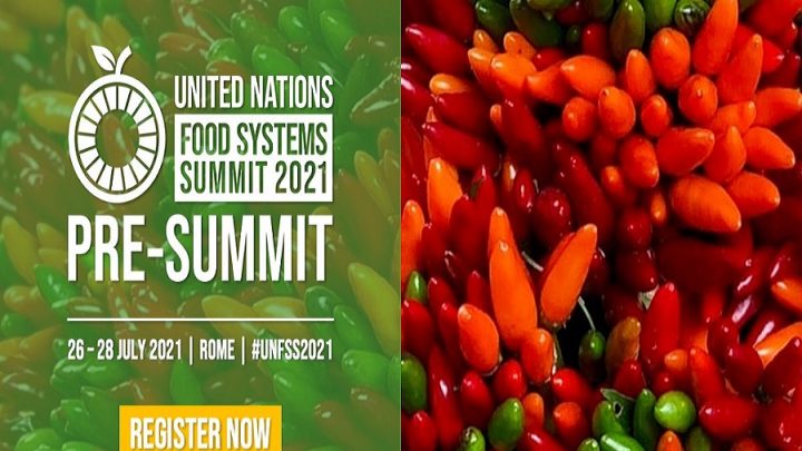 Sommet des Nations Unies sur les systèmes alimentaires 26-28/07/2021