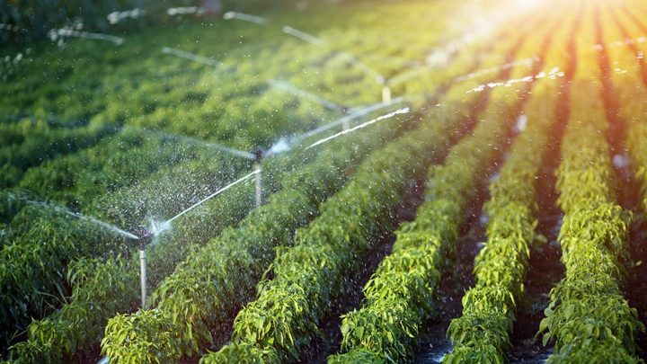 Economiser l’eau avec une irrigation intelligente