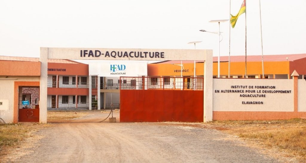 IFAD – Aquaculture : le recrutement d’une nouvelle vague d’apprenants annoncé