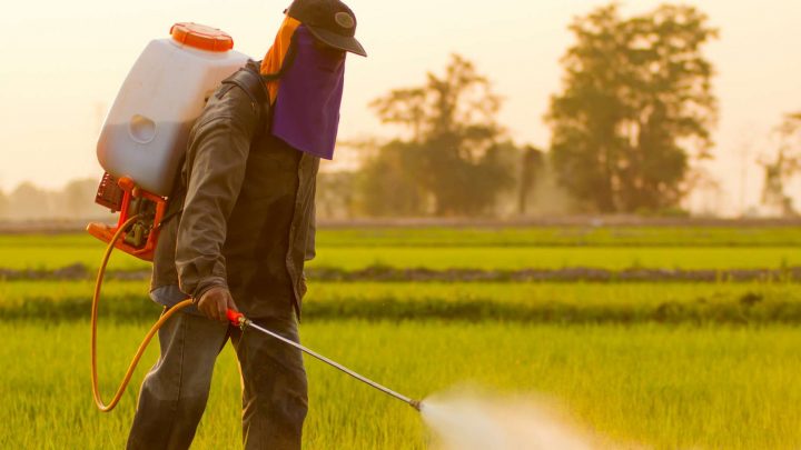 L’usage des pesticides, avantages et inconvénients