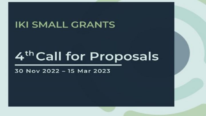 KI Small Grants launches 4th International Call for Proposals