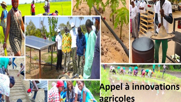 Nexus – Appel à innovations agricoles lancé par l’ISRA au Sénégal