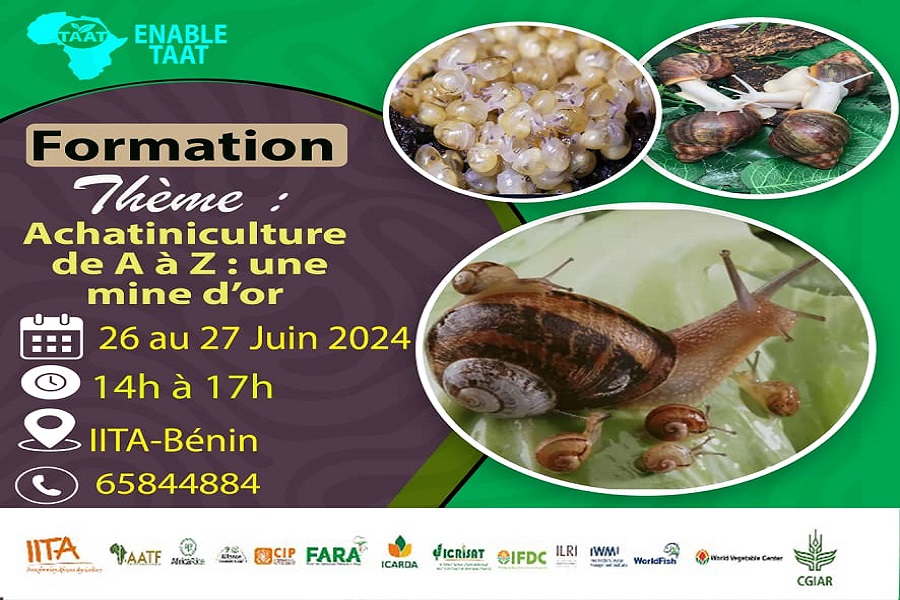 Formation en achatiniculture de A à Z