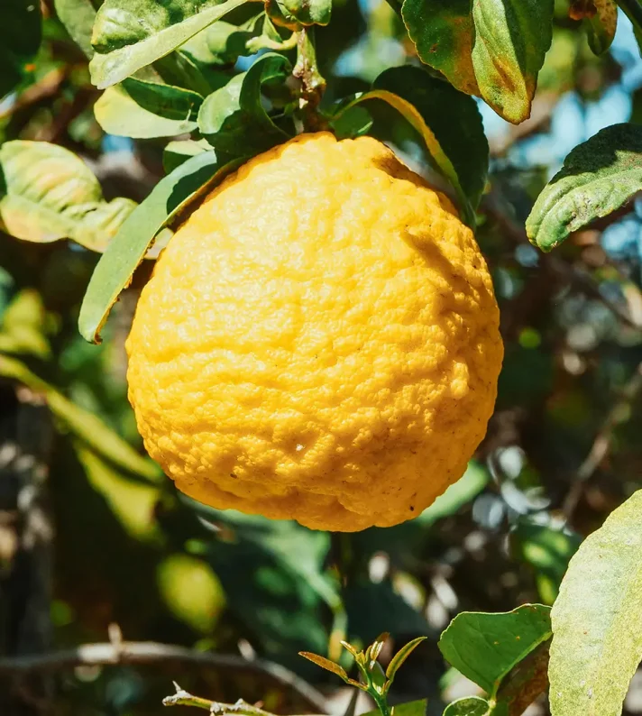 banner-process-6-1920