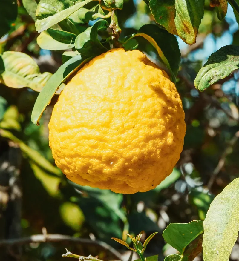 banner-process-6-1920